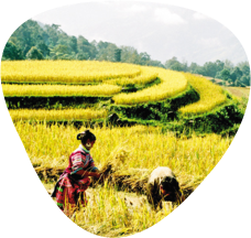 Chất lượng