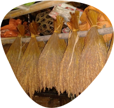 Thuận tự nhiên